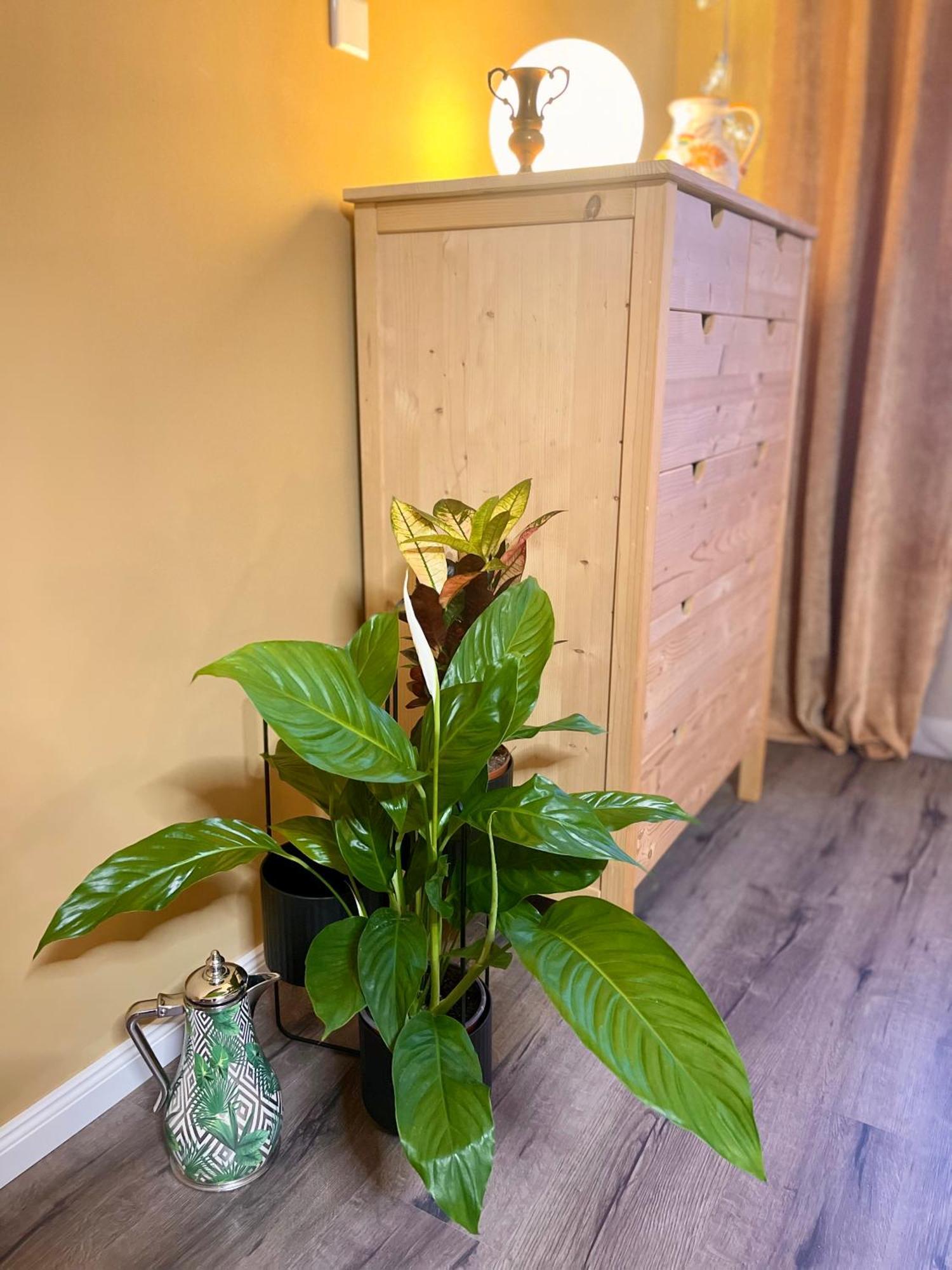 Terracotta Apartment - Zentral, Parken, Netflix, Kontaktloses Einchecken, Kingsize-Bett Wuppertal Bagian luar foto